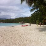 IMG 2524 IMG 2524